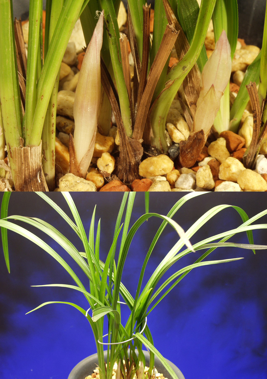 ������ ū������ �� �� �ֽ��ϴ�.