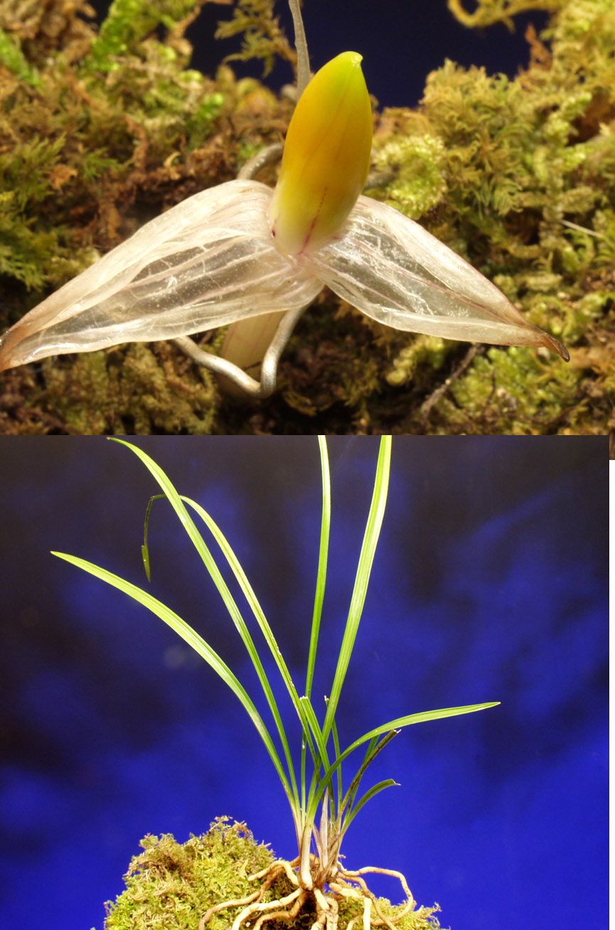 ������ ū������ �� �� �ֽ��ϴ�.