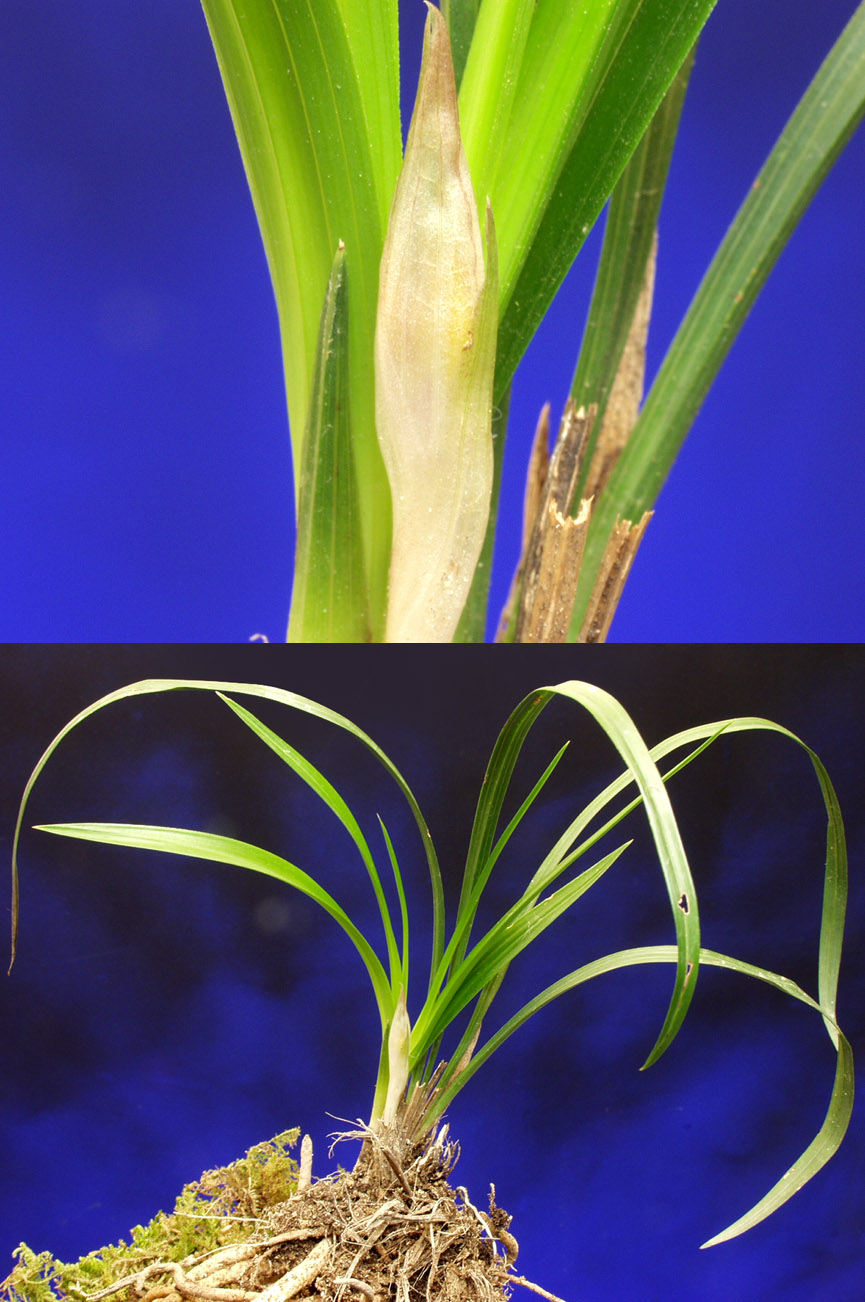 ������ ū������ �� �� �ֽ��ϴ�.