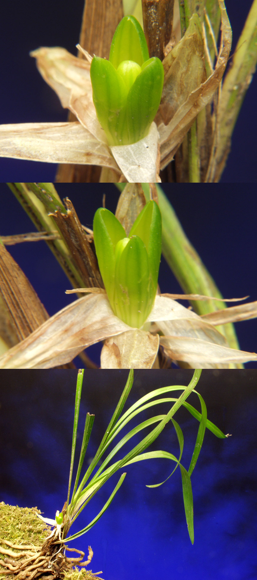 ������ ū������ �� �� �ֽ��ϴ�.