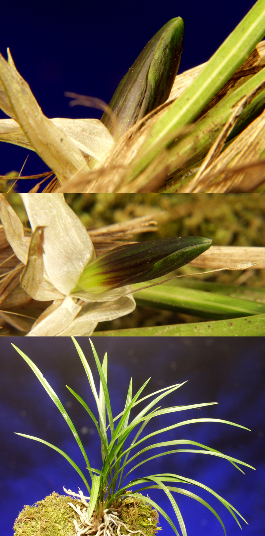 ������ ū������ �� �� �ֽ��ϴ�.