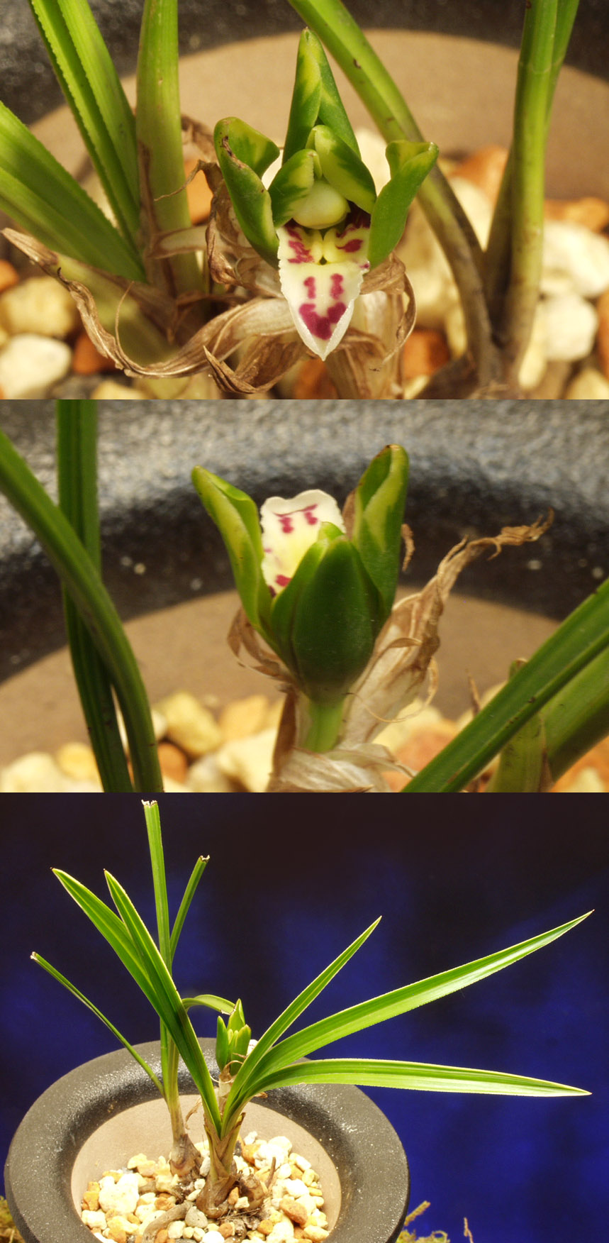 ������ ū������ �� �� �ֽ��ϴ�.