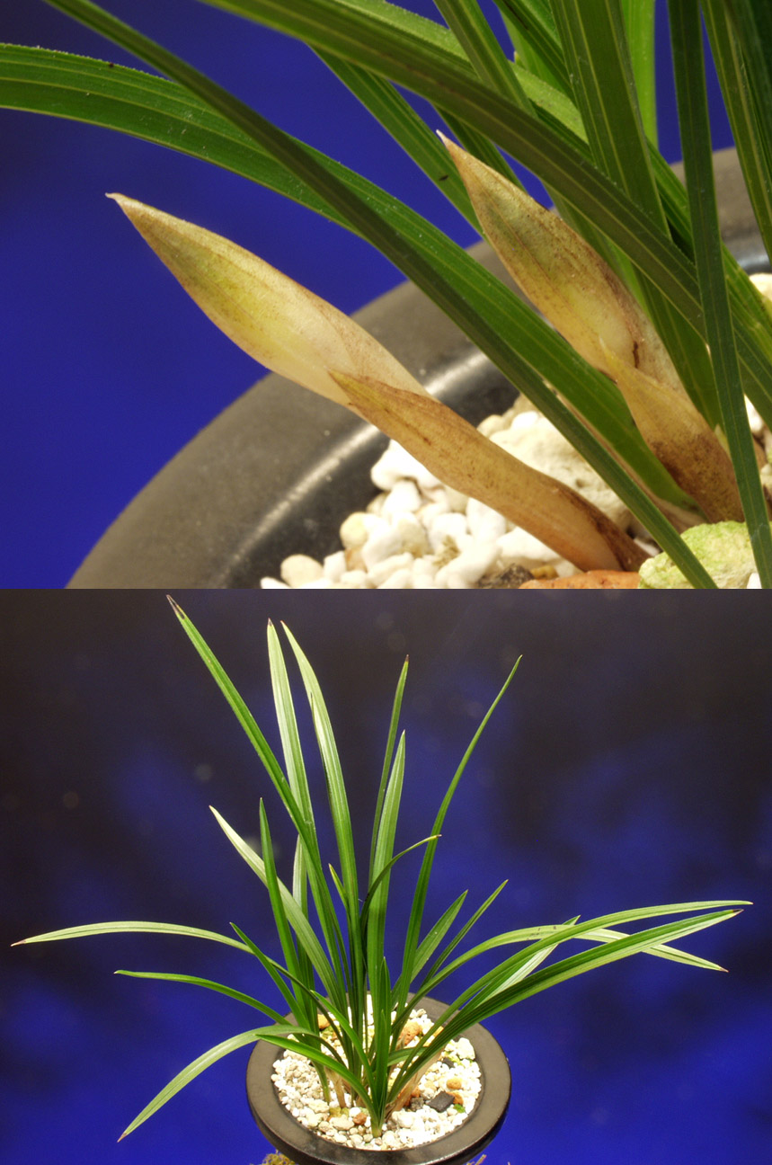 ������ ū������ �� �� �ֽ��ϴ�.