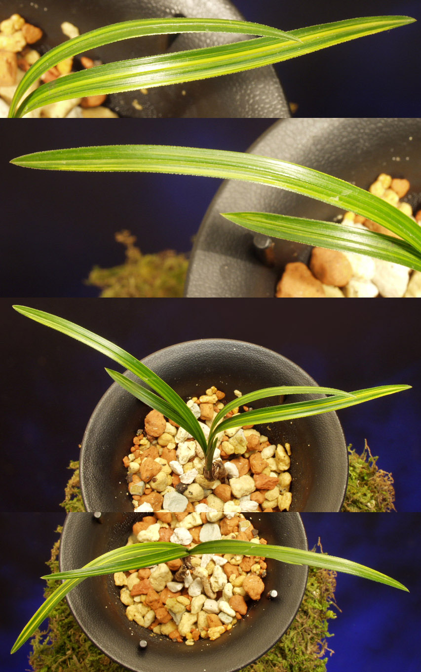 ������ ū������ �� �� �ֽ��ϴ�.