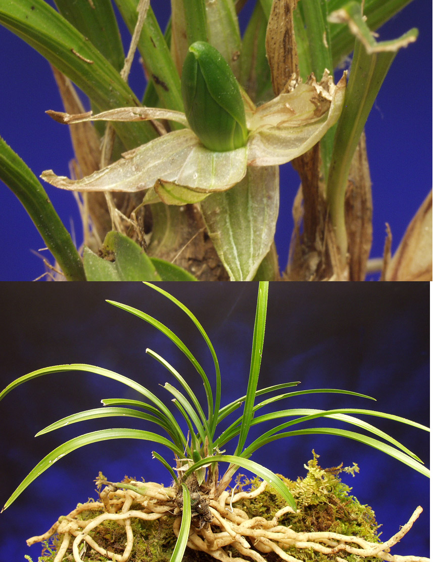 ������ ū������ �� �� �ֽ��ϴ�.