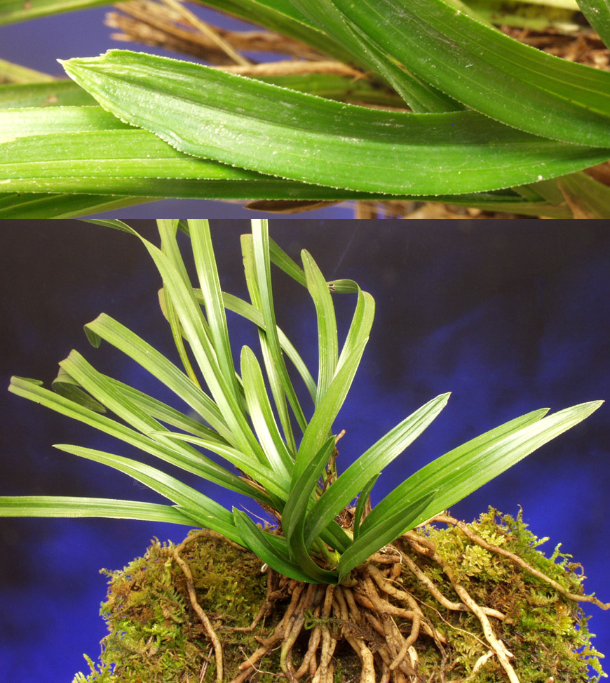 ������ ū������ �� �� �ֽ��ϴ�.