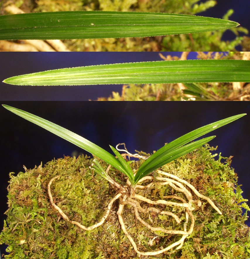 ������ ū������ �� �� �ֽ��ϴ�.