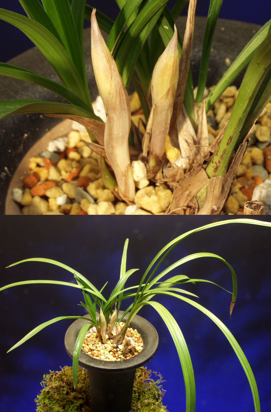 ������ ū������ �� �� �ֽ��ϴ�.