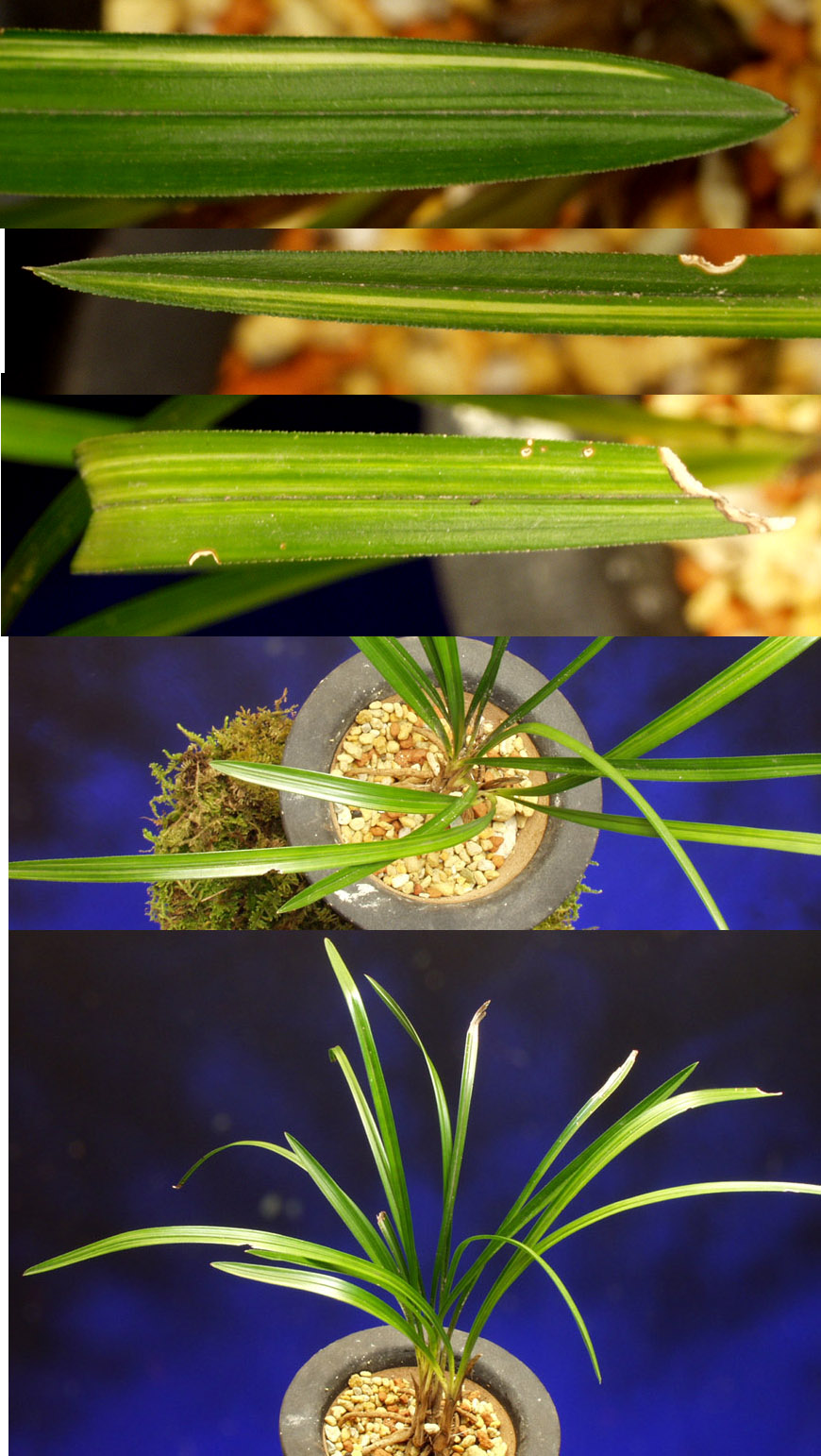 ������ ū������ �� �� �ֽ��ϴ�.