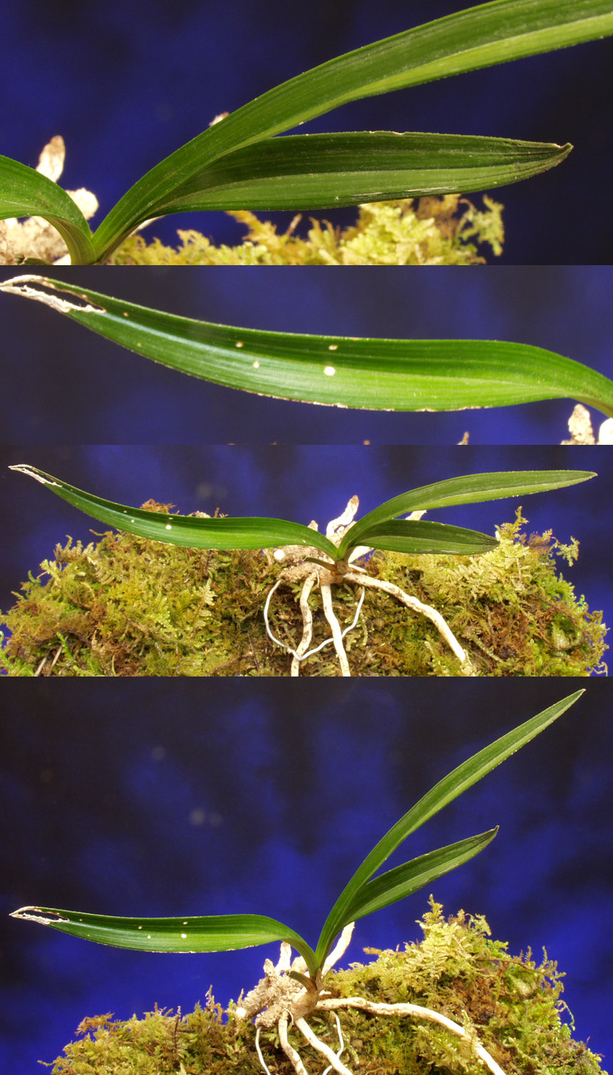 ������ ū������ �� �� �ֽ��ϴ�.