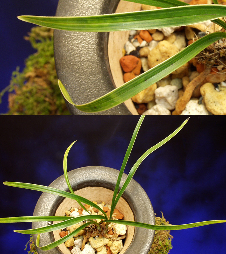 ������ ū������ �� �� �ֽ��ϴ�.