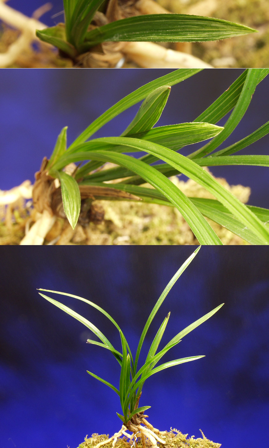 ������ ū������ �� �� �ֽ��ϴ�.