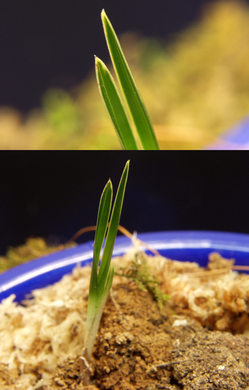 ������ ū������ �� �� �ֽ��ϴ�.