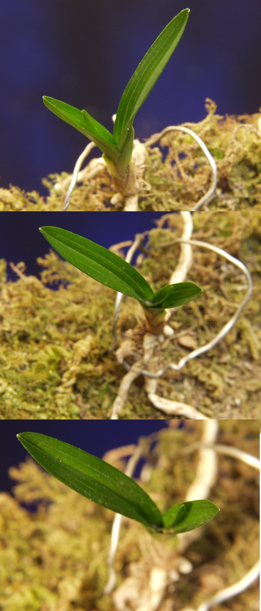 ������ ū������ �� �� �ֽ��ϴ�.