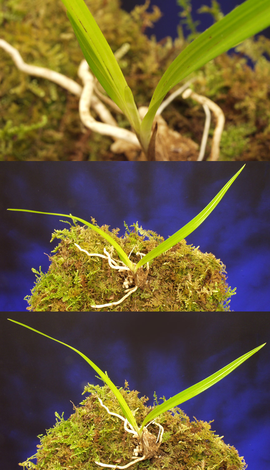 ������ ū������ �� �� �ֽ��ϴ�.