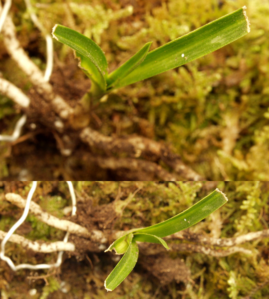 ������ ū������ �� �� �ֽ��ϴ�.