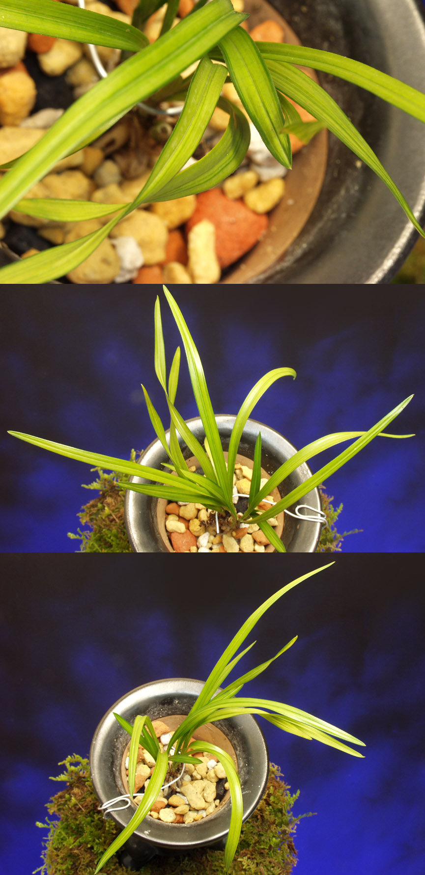 ������ ū������ �� �� �ֽ��ϴ�.