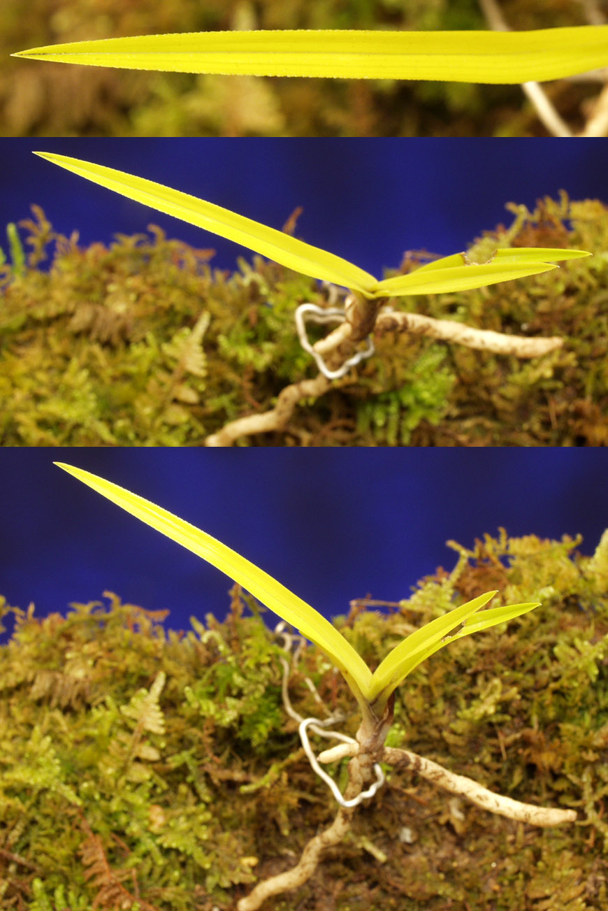 ������ ū������ �� �� �ֽ��ϴ�.