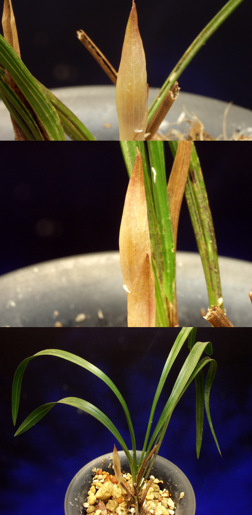 ������ ū������ �� �� �ֽ��ϴ�.