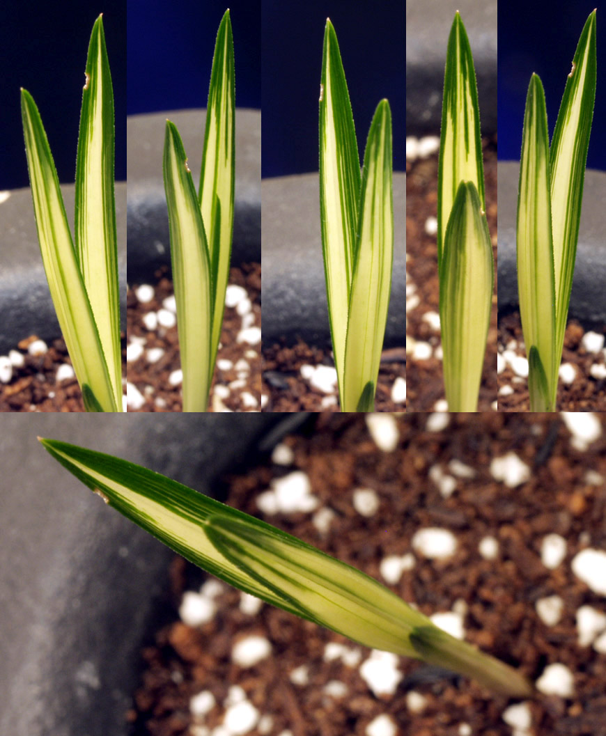 ������ ū������ �� �� �ֽ��ϴ�.