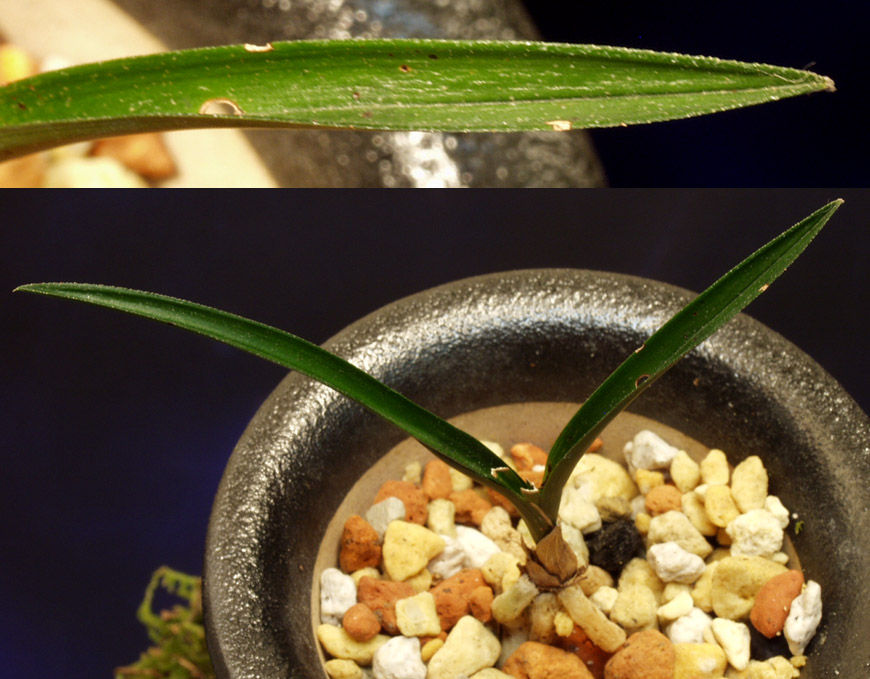 ������ ū������ �� �� �ֽ��ϴ�.