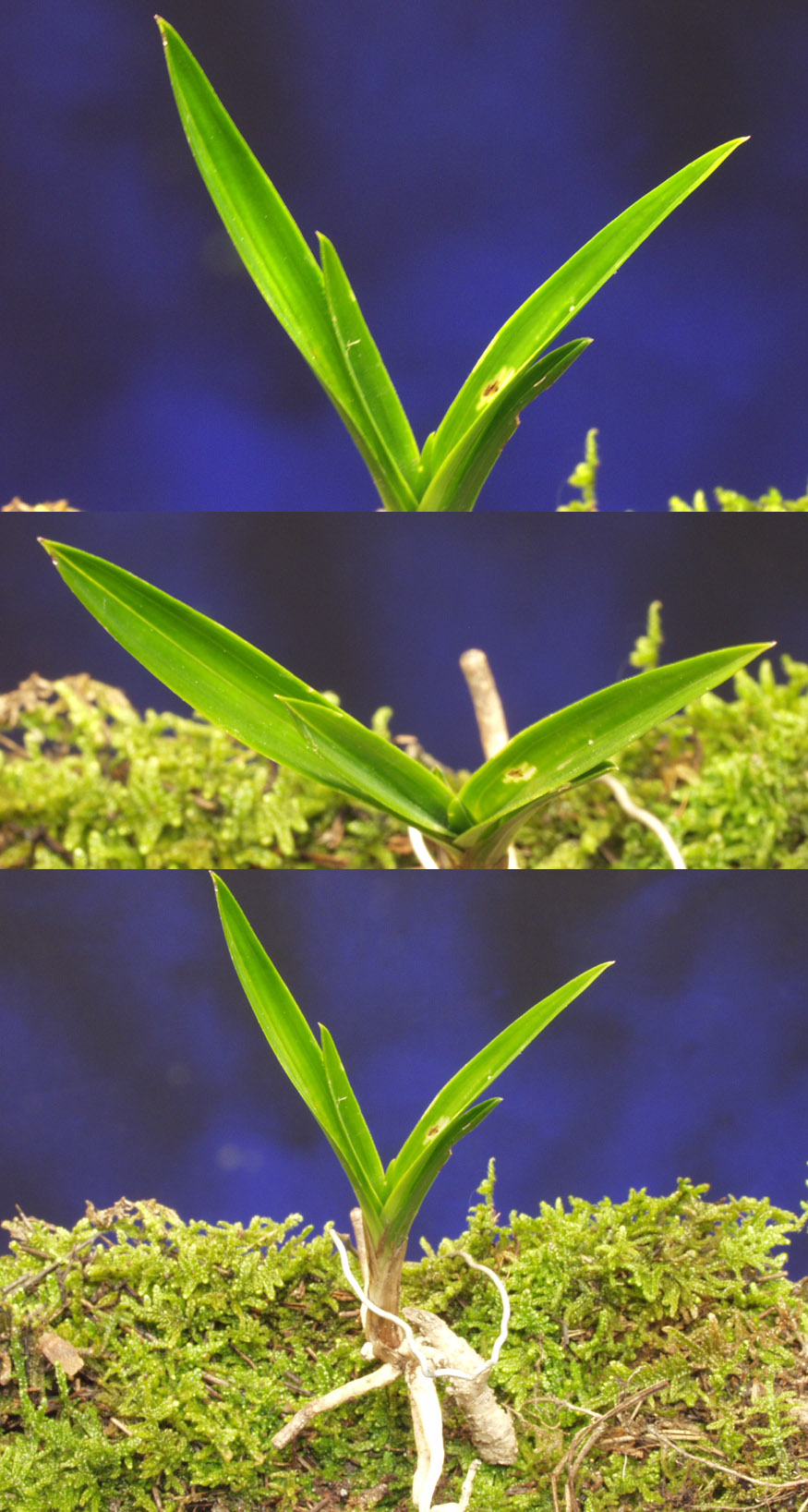 ������ ū������ �� �� �ֽ��ϴ�.