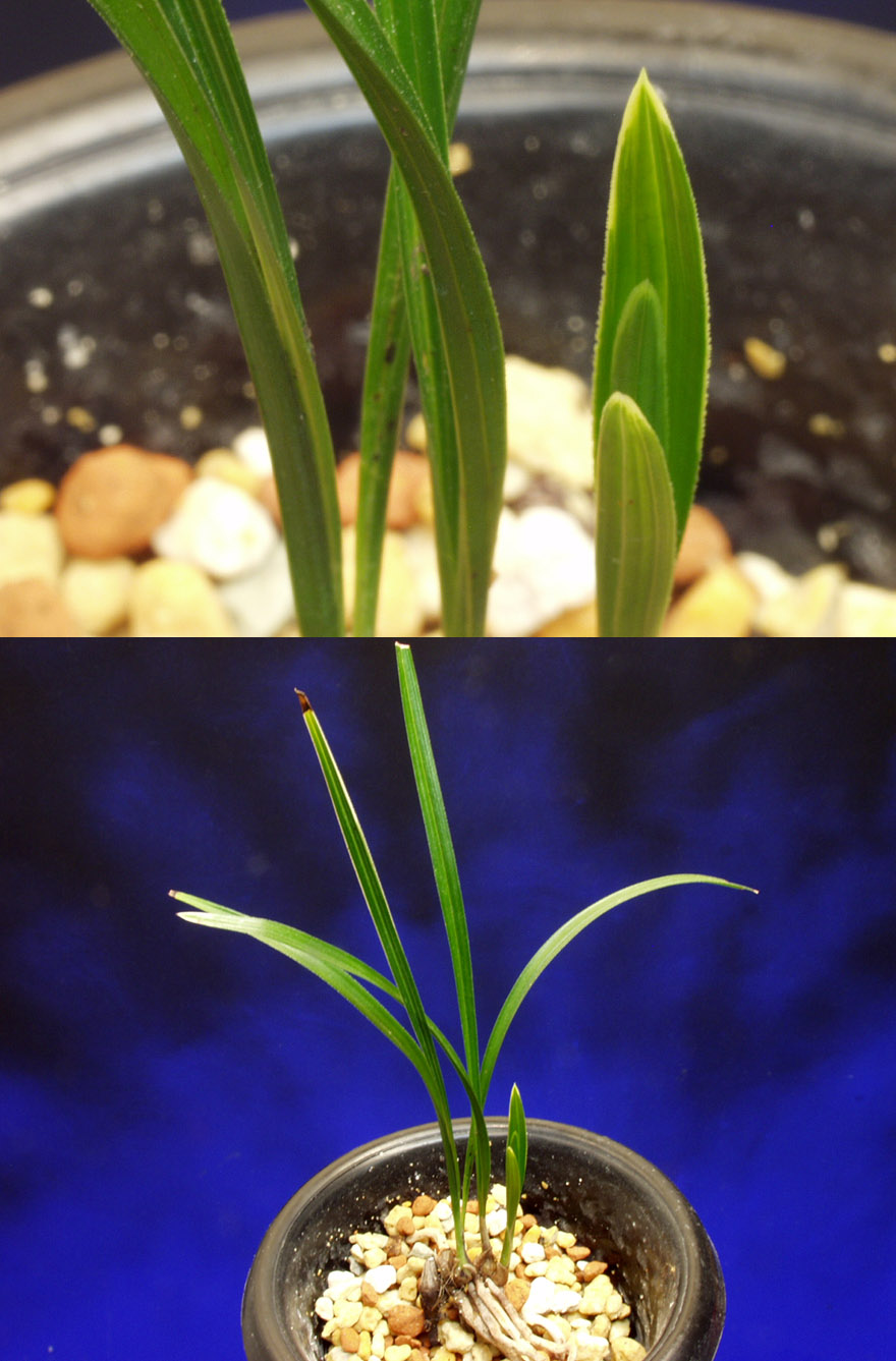 ������ ū������ �� �� �ֽ��ϴ�.