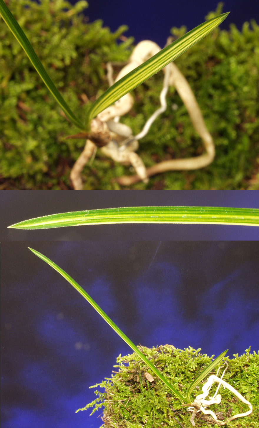 ������ ū������ �� �� �ֽ��ϴ�.