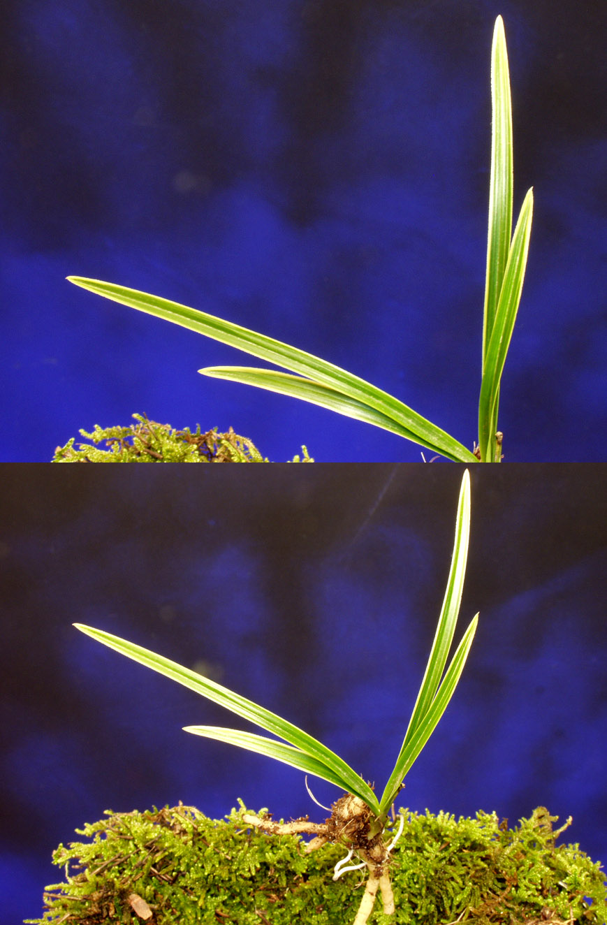 ������ ū������ �� �� �ֽ��ϴ�.