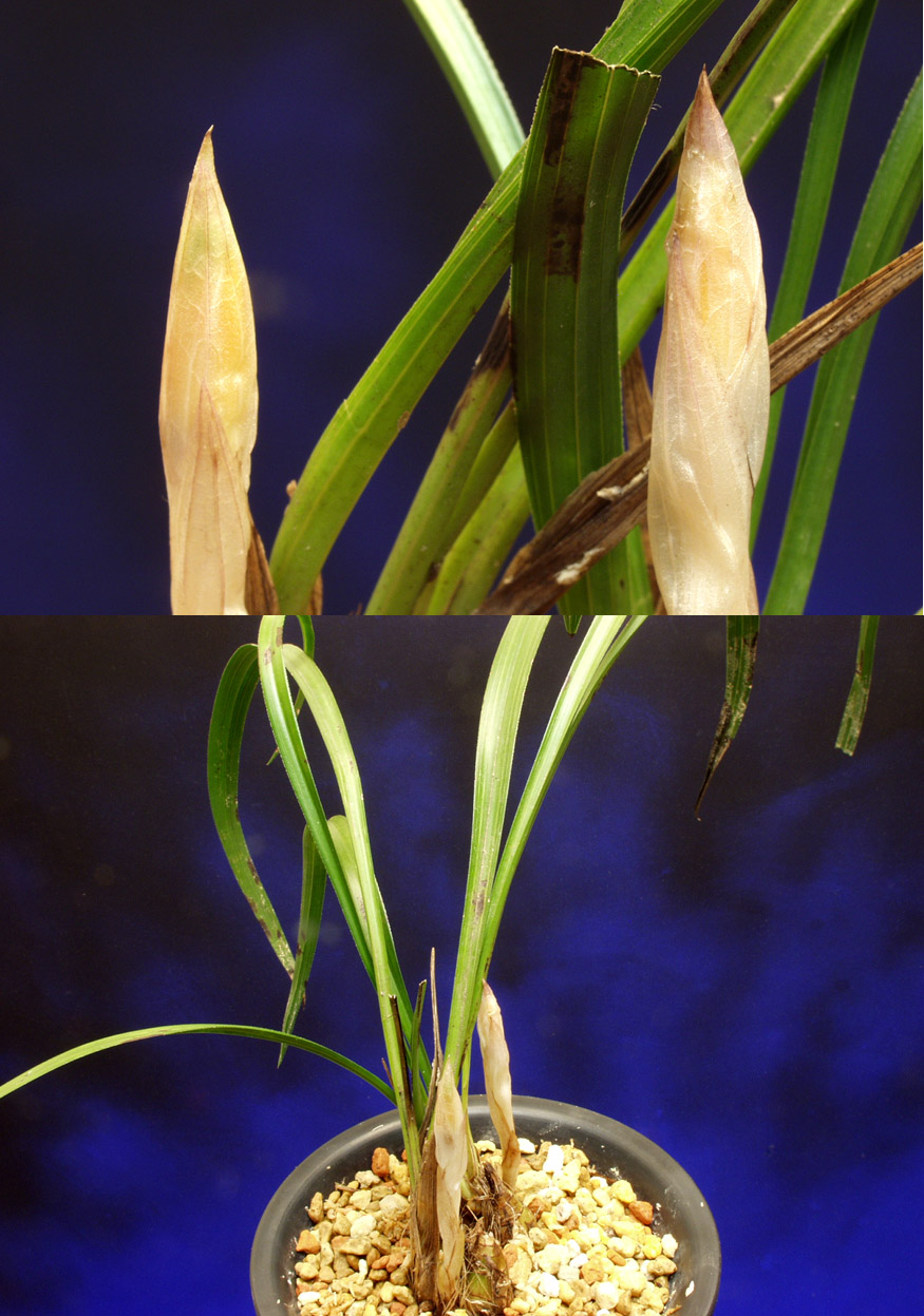 ������ ū������ �� �� �ֽ��ϴ�.