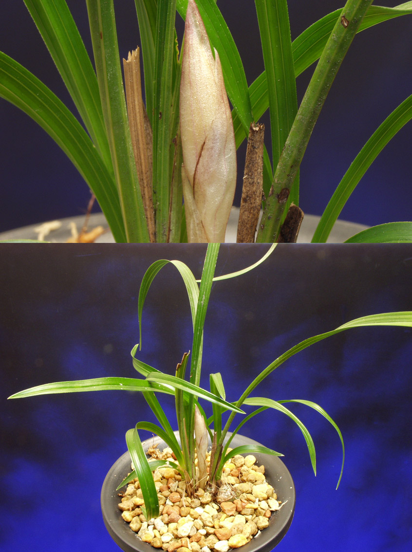 ������ ū������ �� �� �ֽ��ϴ�.