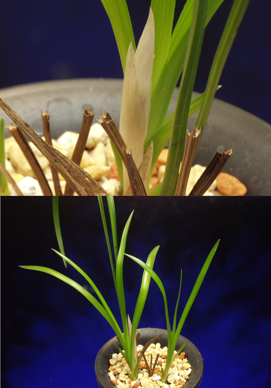 ������ ū������ �� �� �ֽ��ϴ�.