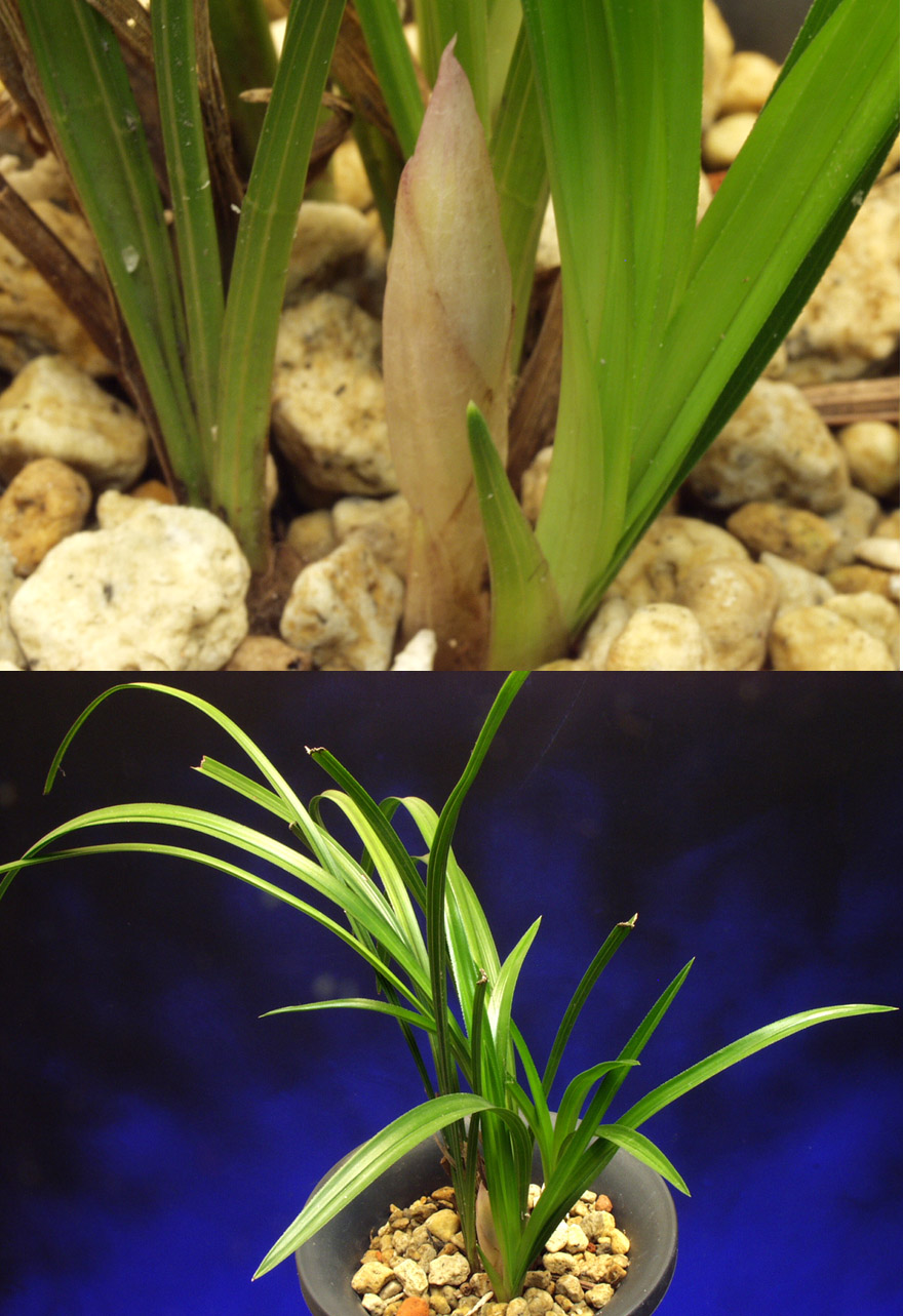 ������ ū������ �� �� �ֽ��ϴ�.