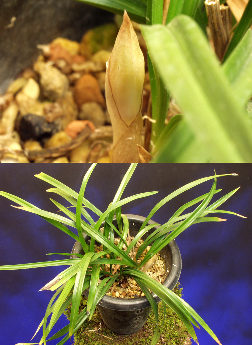 ������ ū������ �� �� �ֽ��ϴ�.