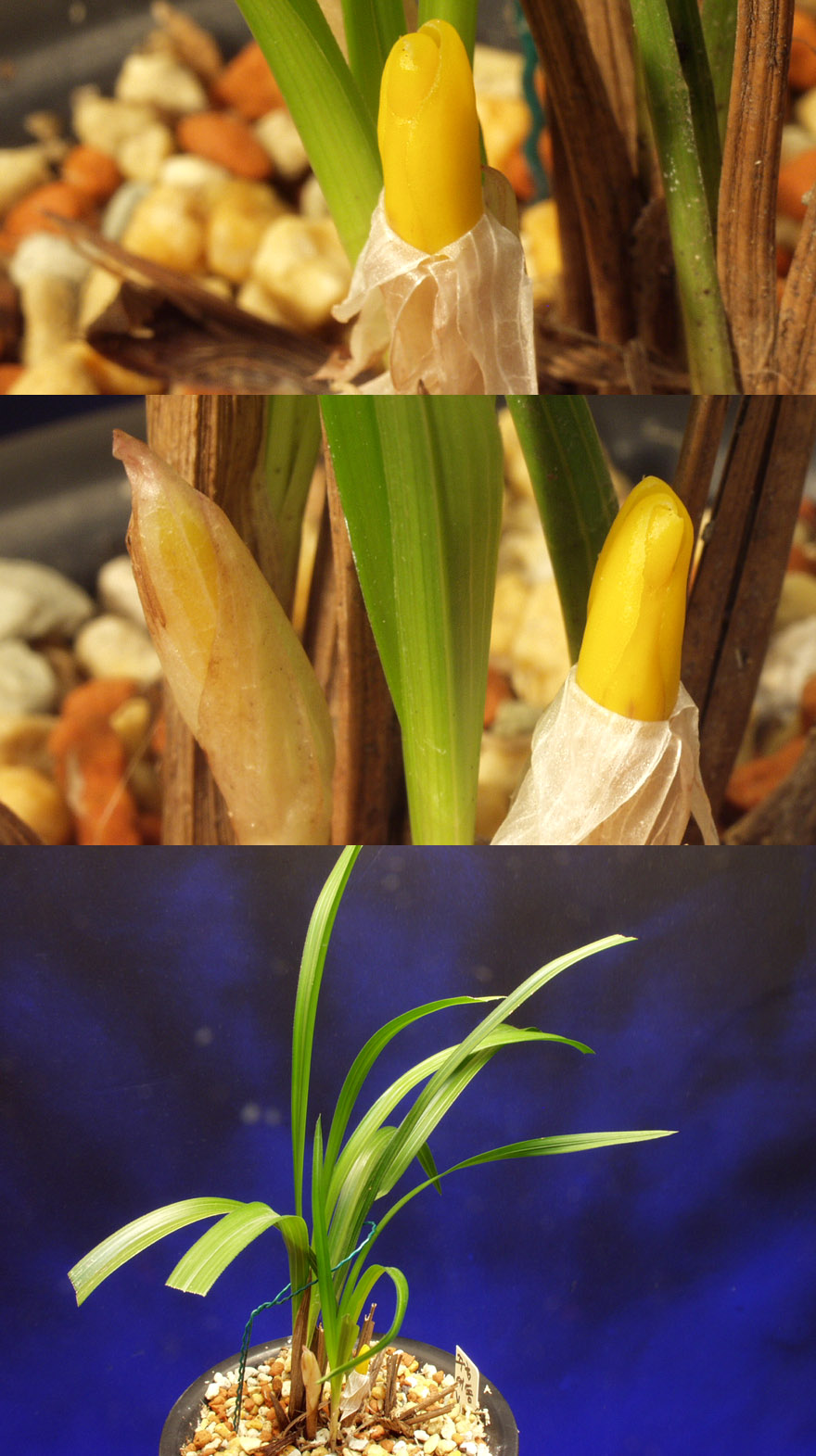 ������ ū������ �� �� �ֽ��ϴ�.