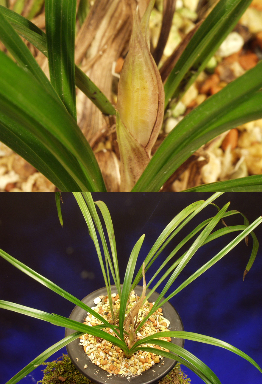 ������ ū������ �� �� �ֽ��ϴ�.