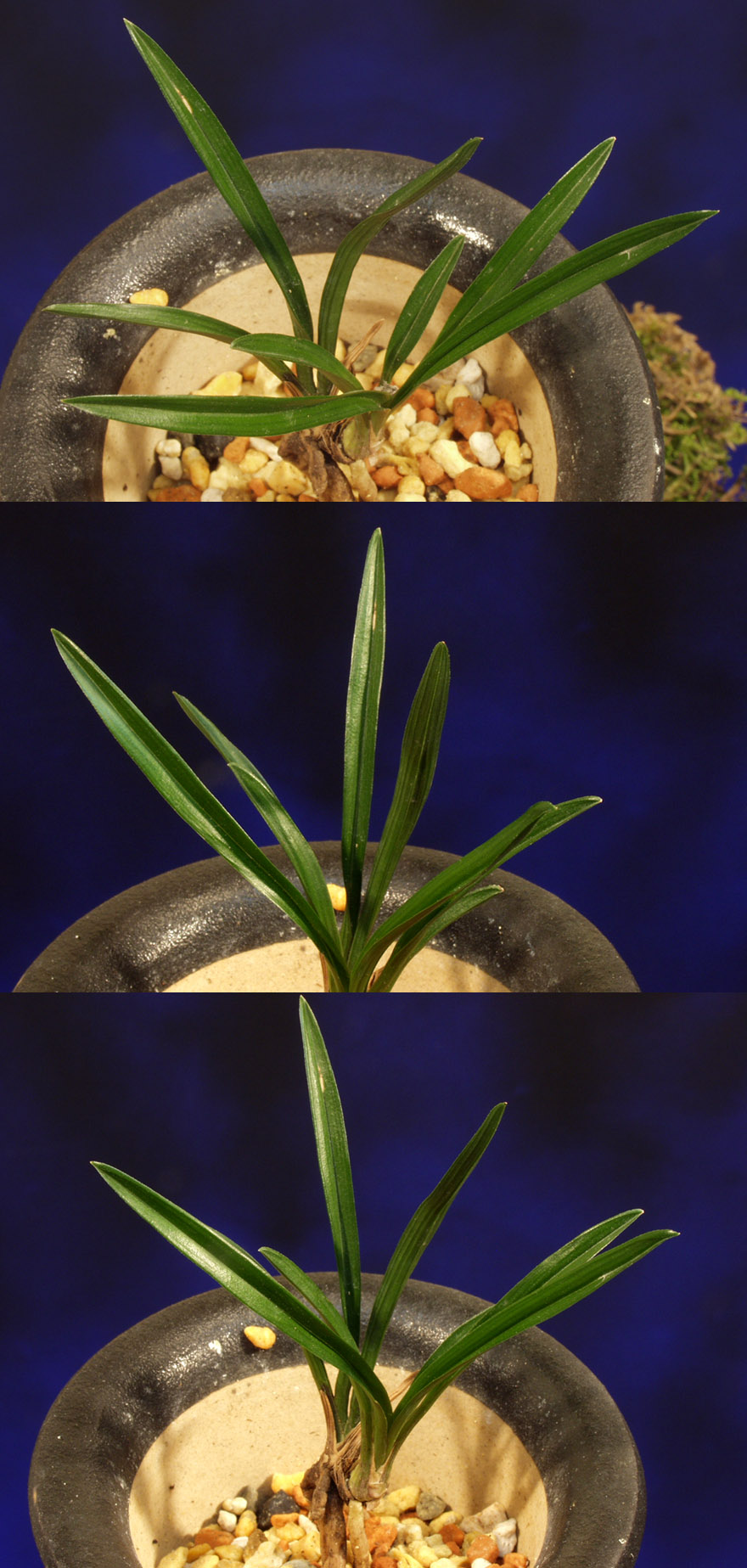 ������ ū������ �� �� �ֽ��ϴ�.