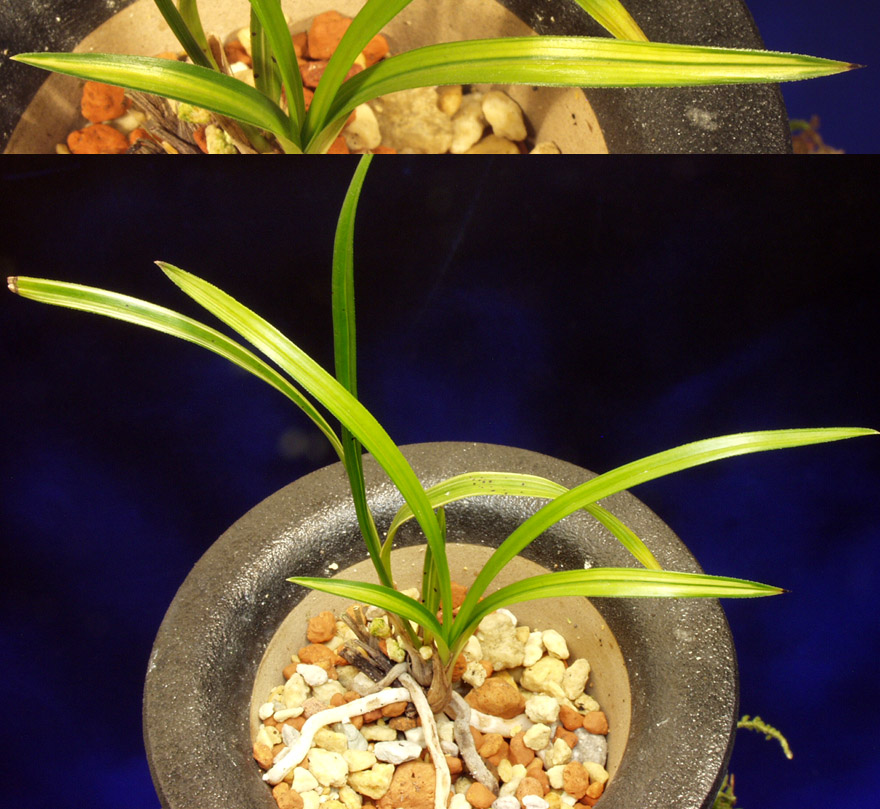 ������ ū������ �� �� �ֽ��ϴ�.