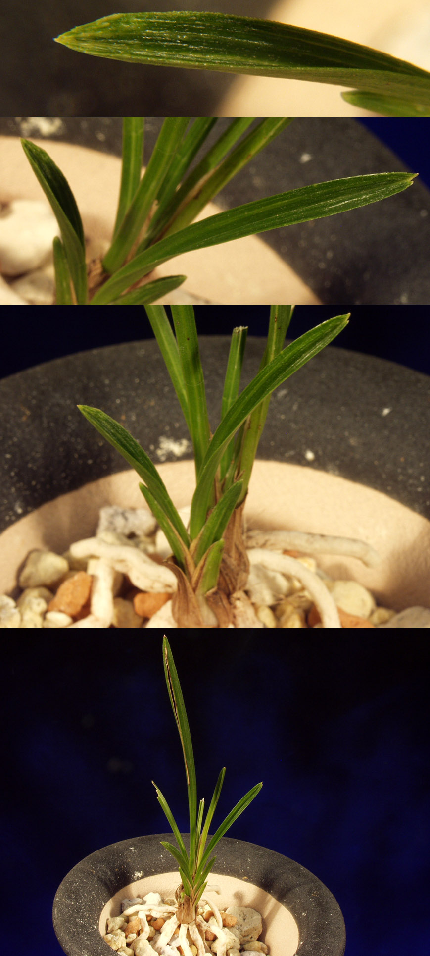 ������ ū������ �� �� �ֽ��ϴ�.