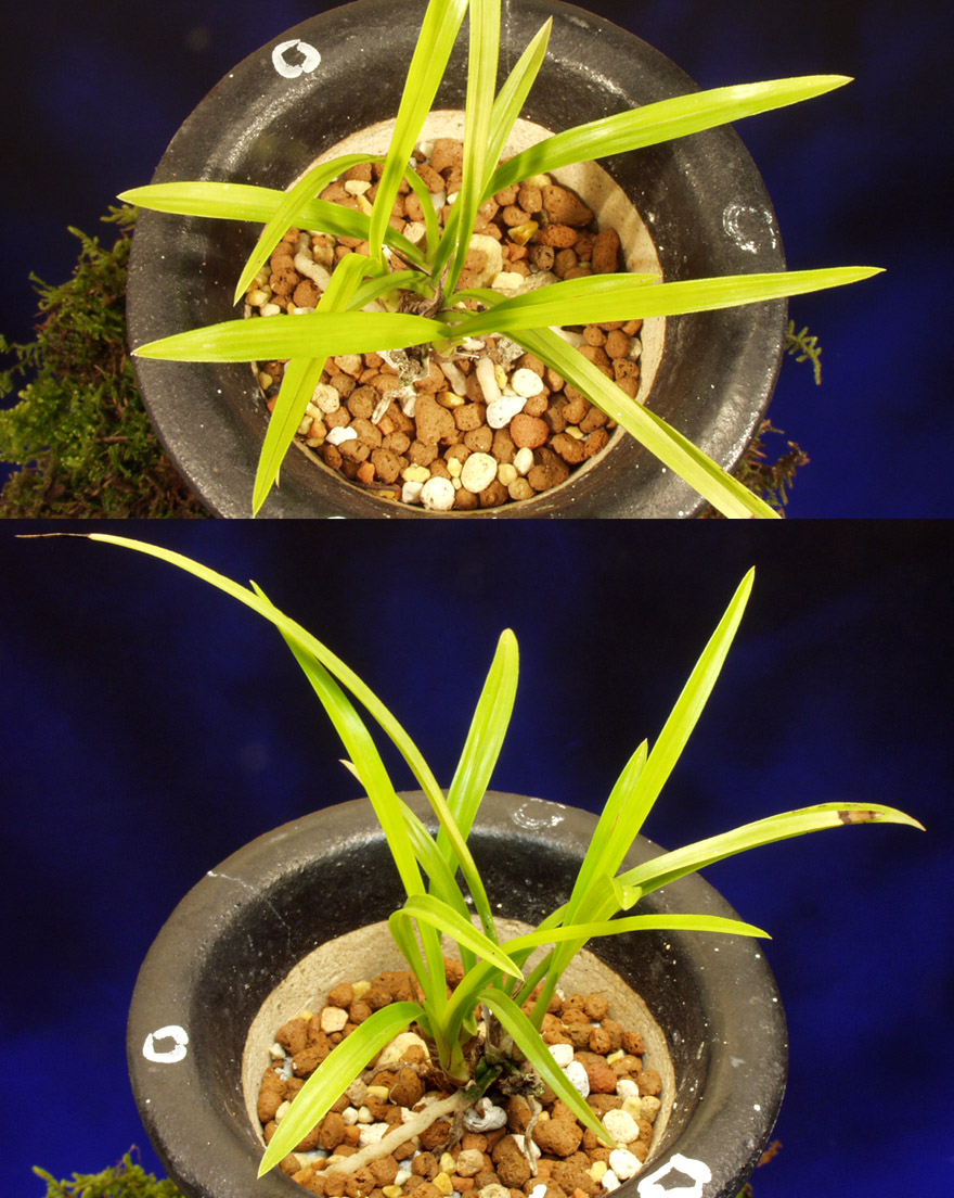 ������ ū������ �� �� �ֽ��ϴ�.