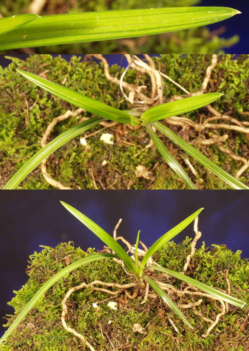 ������ ū������ �� �� �ֽ��ϴ�.