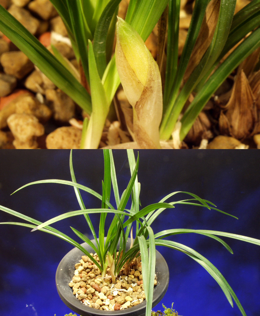 ������ ū������ �� �� �ֽ��ϴ�.