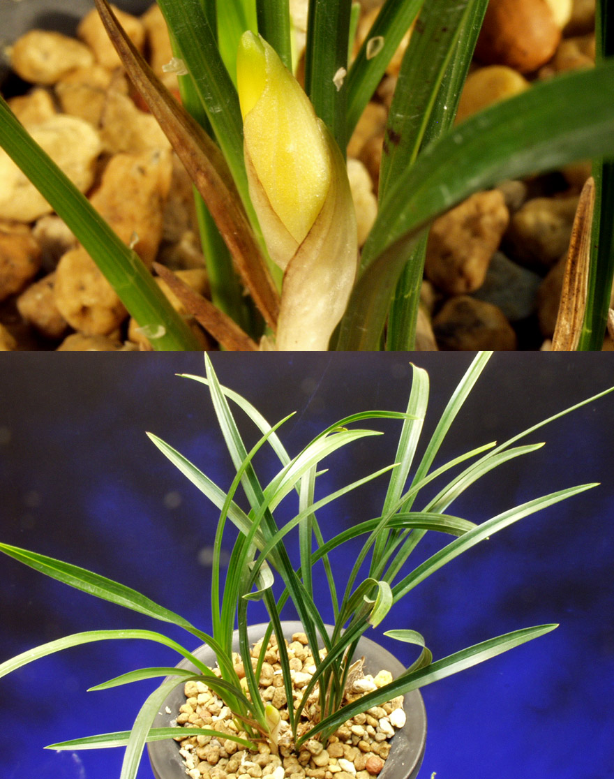 ������ ū������ �� �� �ֽ��ϴ�.