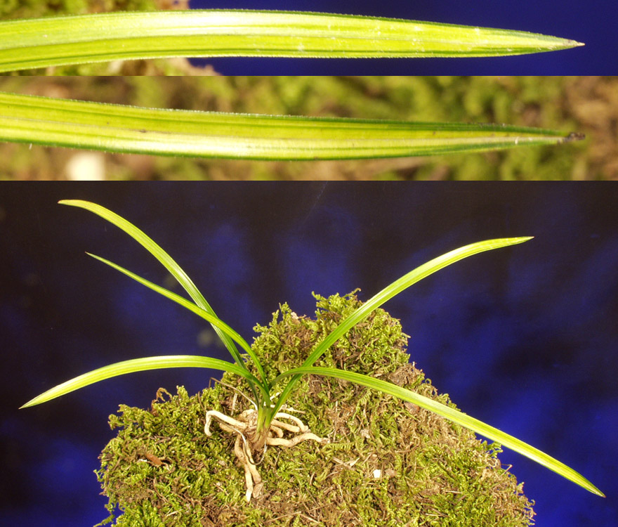 ������ ū������ �� �� �ֽ��ϴ�.