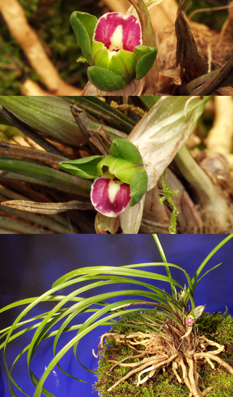 ������ ū������ �� �� �ֽ��ϴ�.