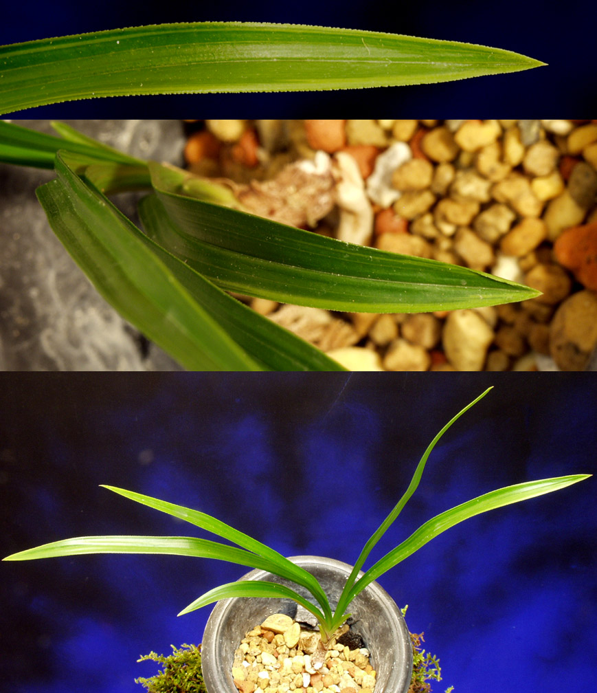 ������ ū������ �� �� �ֽ��ϴ�.