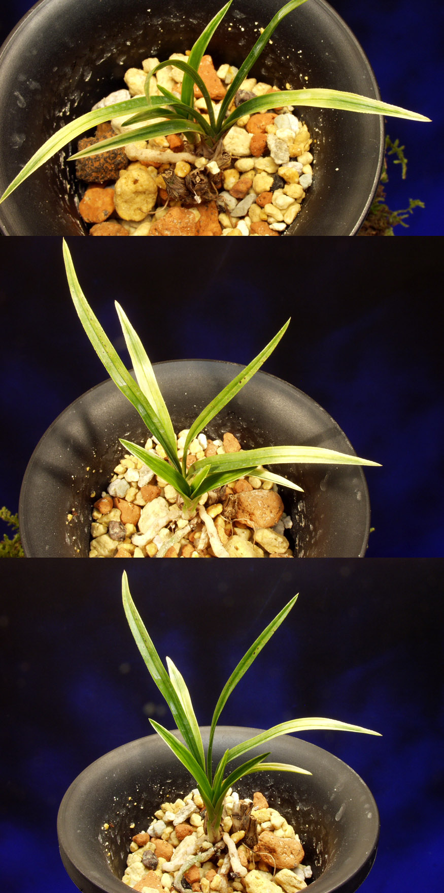 ������ ū������ �� �� �ֽ��ϴ�.