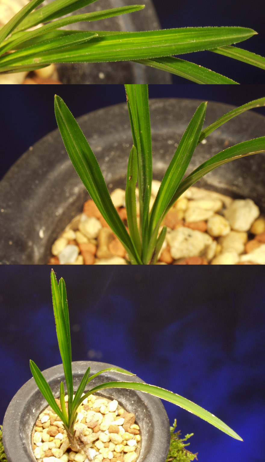 ������ ū������ �� �� �ֽ��ϴ�.