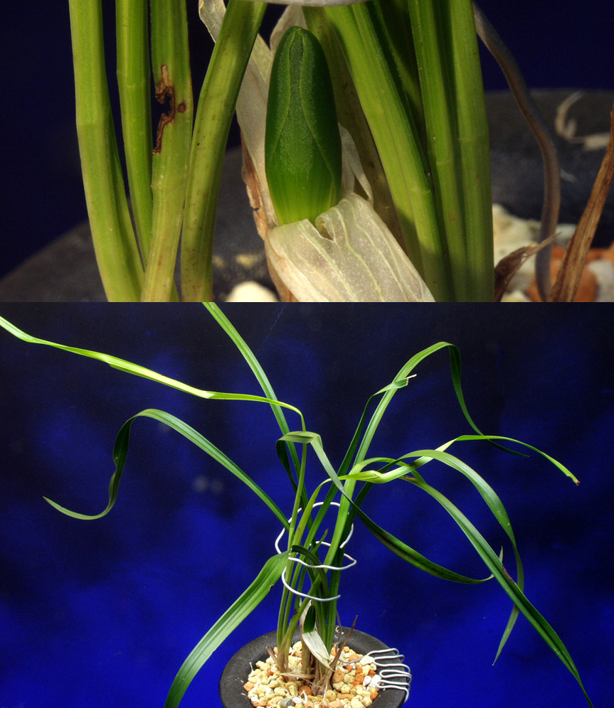 ������ ū������ �� �� �ֽ��ϴ�.