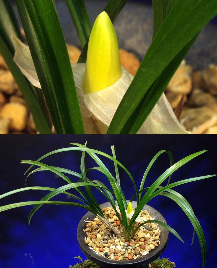 ������ ū������ �� �� �ֽ��ϴ�.